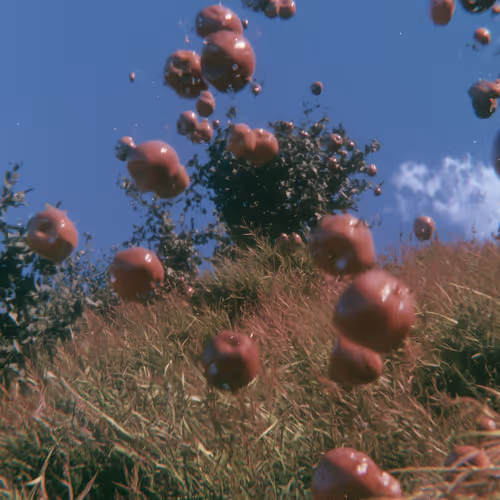slander's Networked Collection