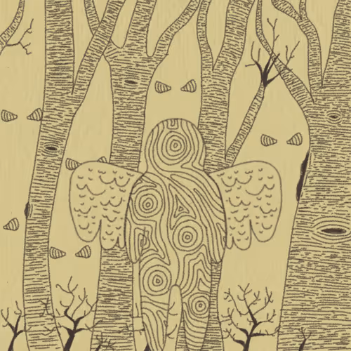 The Forgotten Cult