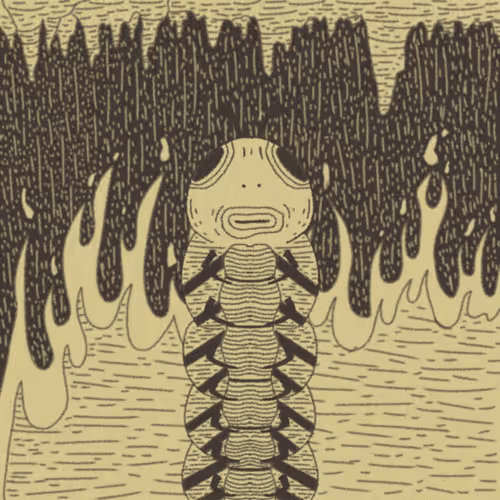 The Forgotten Cult