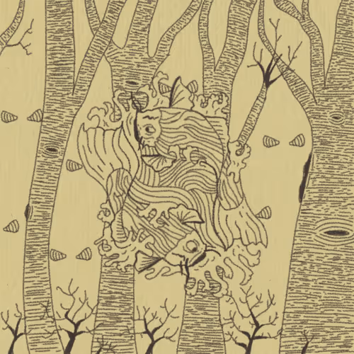 The Forgotten Cult