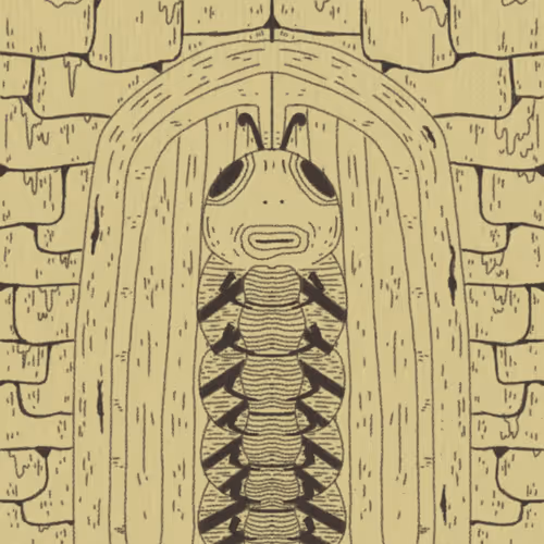 The Forgotten Cult