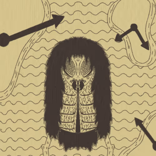 The Forgotten Cult