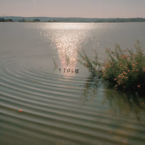 Ai Log By Alina Trifan