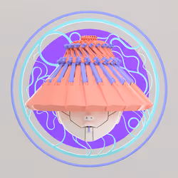 Item Media