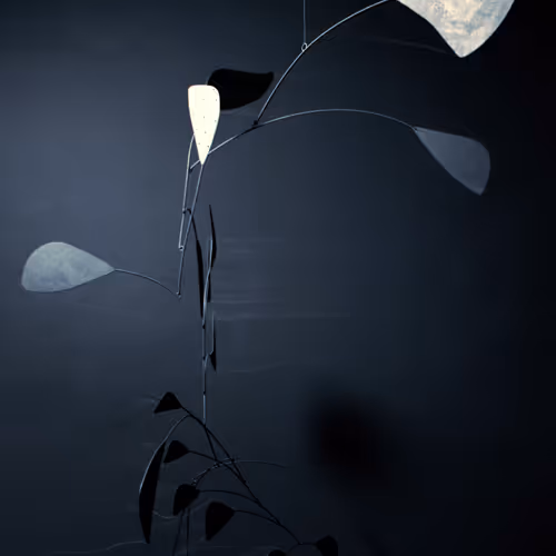 The Calder Question