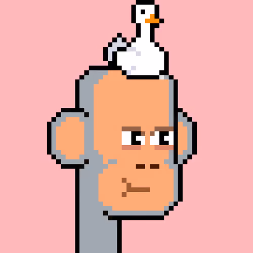 ChimPunk #2350