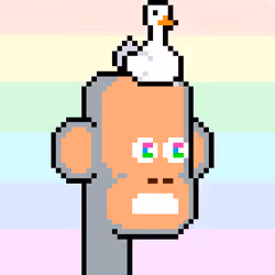 ChimPunk #3010