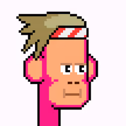 ChimPunk #244