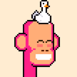 ChimPunk #84