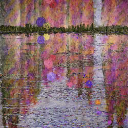 Lake Festival  #67
