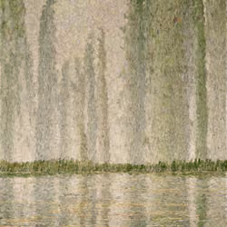Lake Festival  #51
