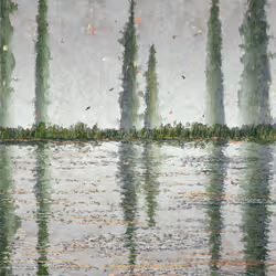 Lake Festival  #109