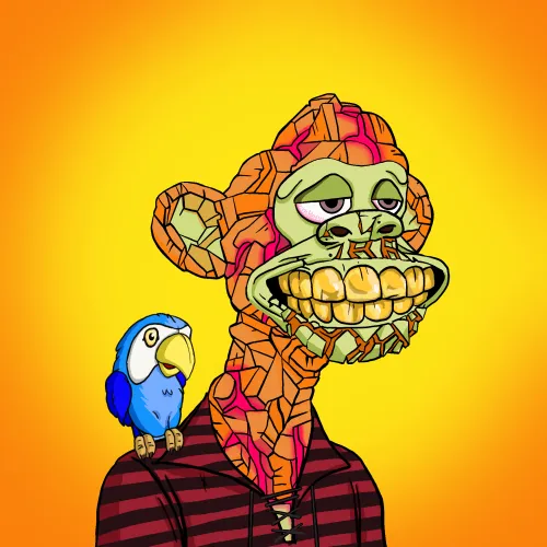 Barefootpirates
