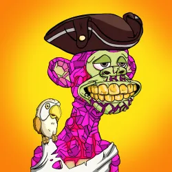 Barefoot Pirates #40