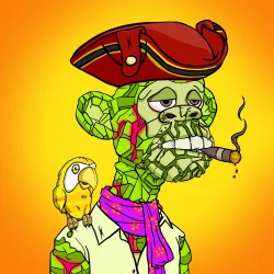 Barefoot Pirates #331