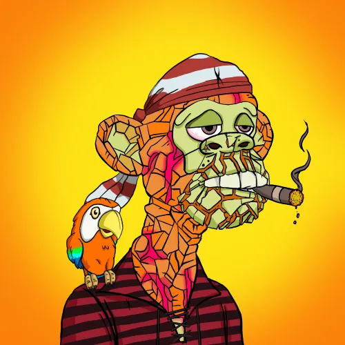 Barefootpirates