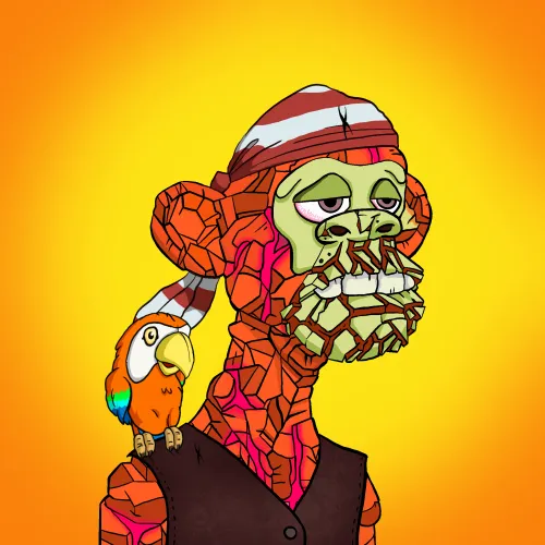 Barefootpirates