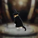 OIIA OIIA MAGIC Spinning CAT