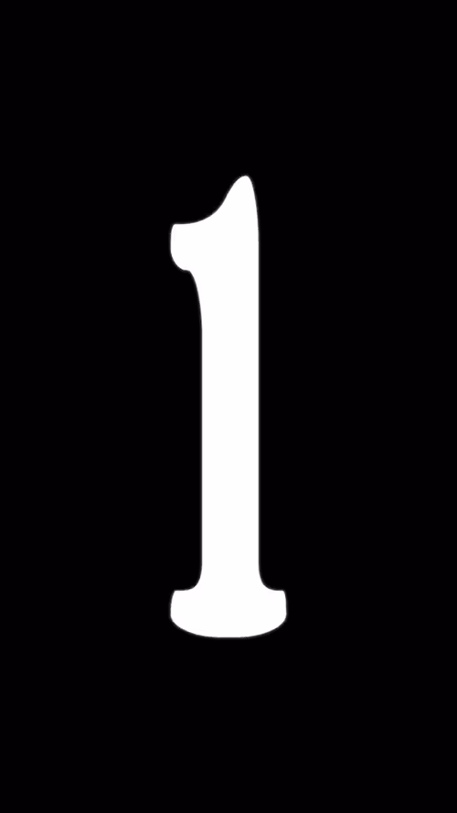Item #5 Media