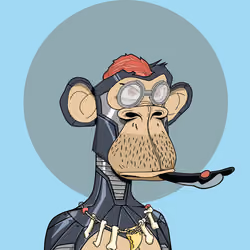 Renga Apes Club #6429