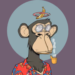 Renga Apes Club #1375