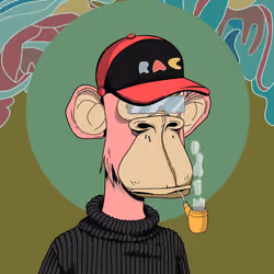 Renga Apes Club #2031