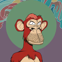 Renga Apes Club #2458