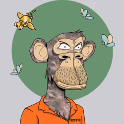Renga Apes Club #594