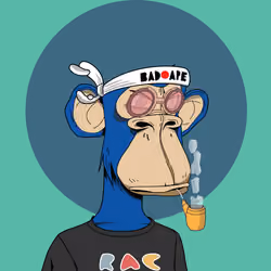 Renga Apes Club #8559