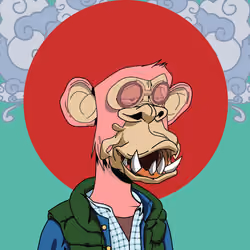 Renga Apes Club #1161