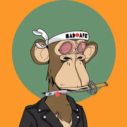 Renga Apes Club #7241