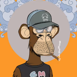 Renga Apes Club #5648
