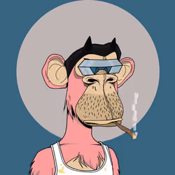 Renga Apes Club #9044
