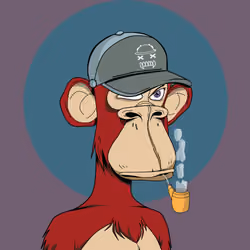 Renga Apes Club #2796