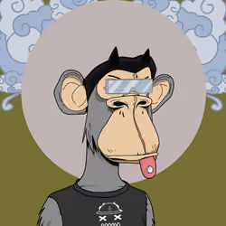 Renga Apes Club #7052