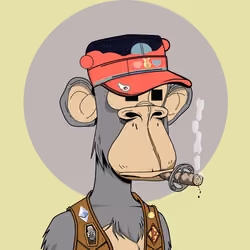 Renga Apes Club #1008
