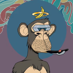 Renga Apes Club #2483