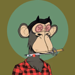 Renga Apes Club #6480