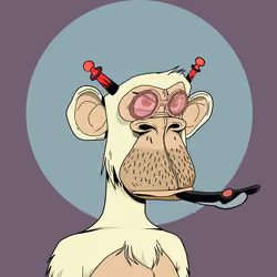 Renga Apes Club #3210