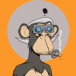 Renga Apes Club #1816