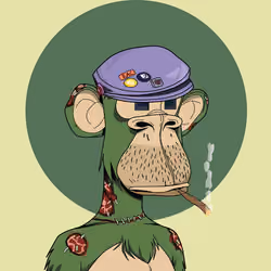 Renga Apes Club #4071