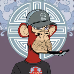 Renga Apes Club #7762