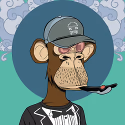Renga Apes Club #7336
