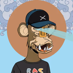 Renga Apes Club #7767