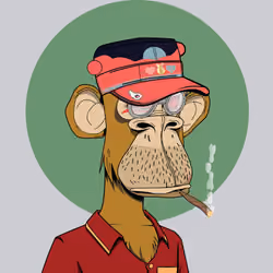 Renga Apes Club #303