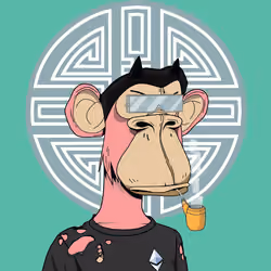 Renga Apes Club #1165