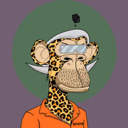 Renga Apes Club #8166