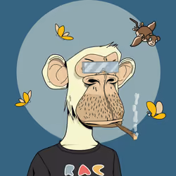 Renga Apes Club #8725