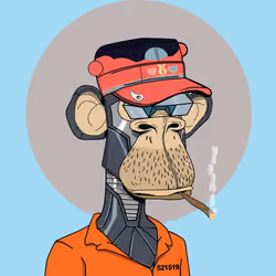 Renga Apes Club #1349