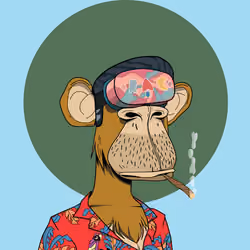 Renga Apes Club #306